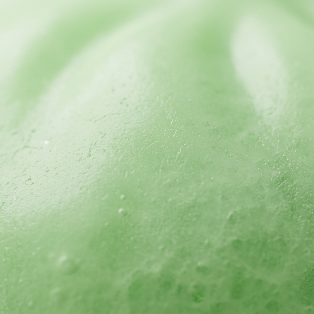 Dumpling Squishy Groen Fris Natuur — macro-close-up van de textuur