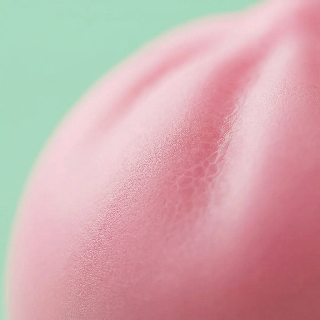 Dumpling Squishy Roze Zacht & Pluizig — macro-close-up van de textuur