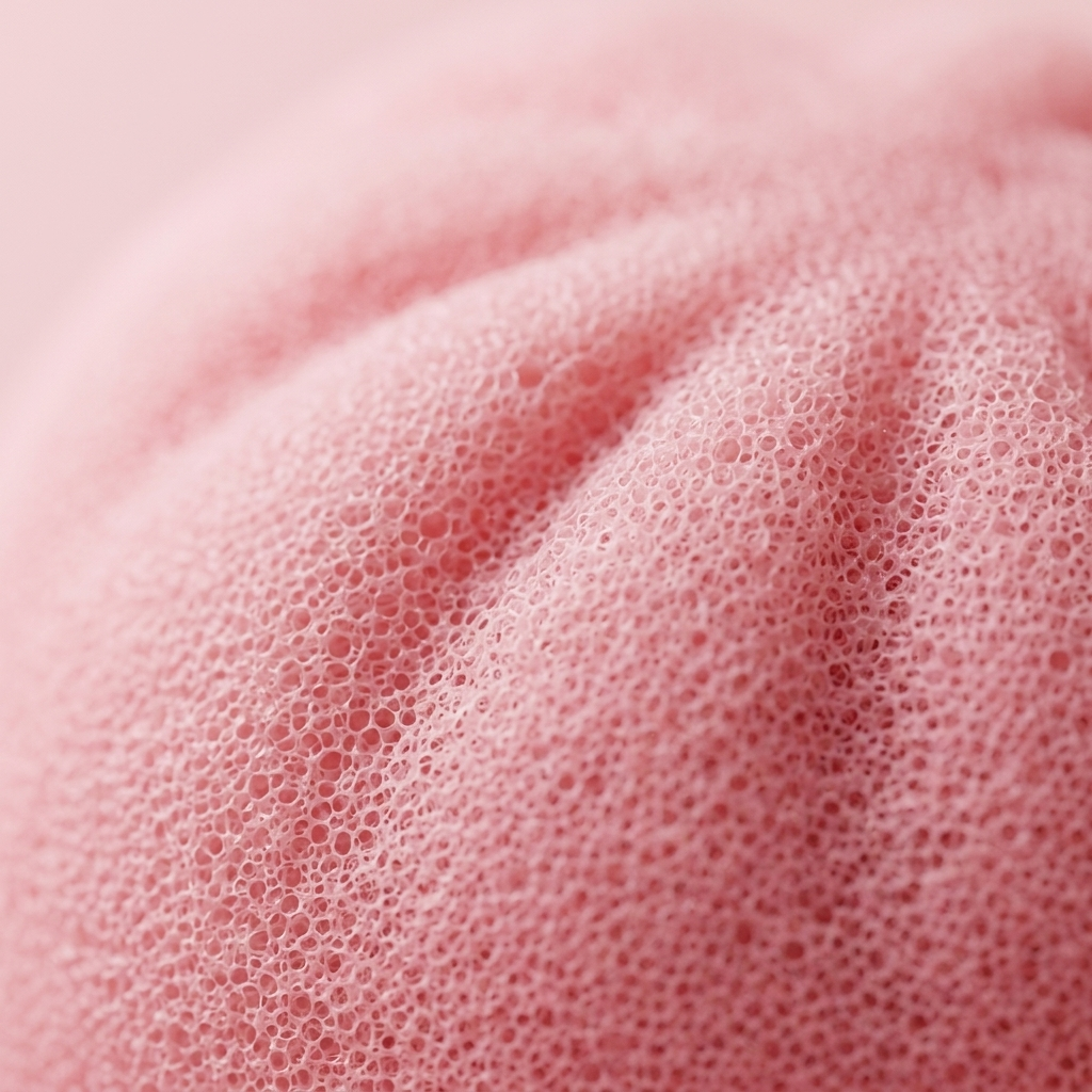 Pink Squishy Dumpling Zachte Bloesem — macro-close-up van de textuur