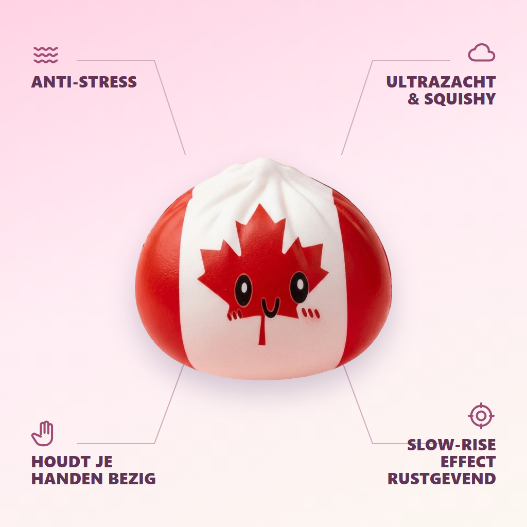 Flag Squishy Dumpling Canada met Bamboe Stoommandje — zijn voordelen